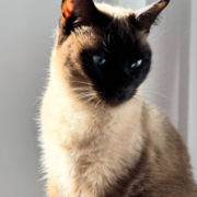 ����������