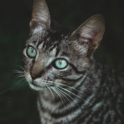 �������