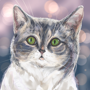 �������