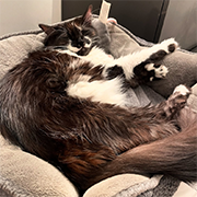 ��������