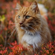 �������