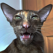 �����