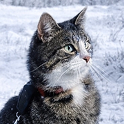 ��������