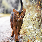 �������