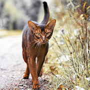 �������