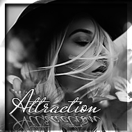 Attraction