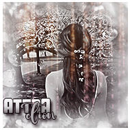 Attraction