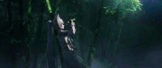 Feixiao