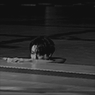 Park Seonghwa