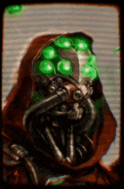 Salticidae Theta-Audax