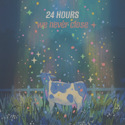 24h