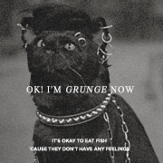 Salem Saberhagen