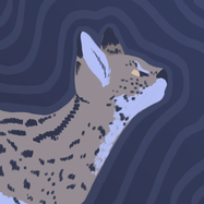 ����� ������