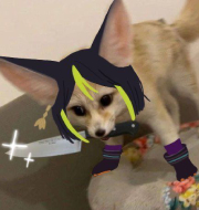 Newt Fox