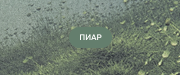 DO NOT DISTURB