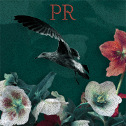 PR