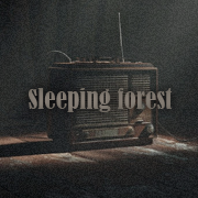 Sleeping forest