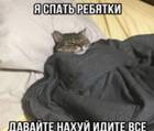 Baraban