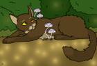 Rockfall_2