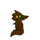 Star Mimpi