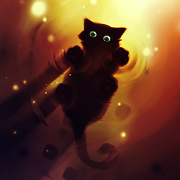 Черный кот Черный кот