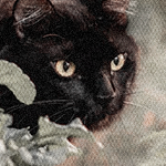 Громохват Громохват