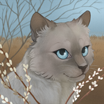 Вербовейная Вербовейная