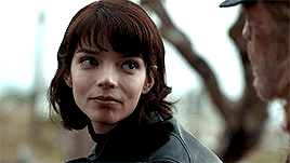 ������� ��������������