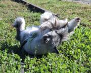 �� ������