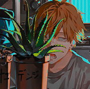 california waskowski