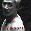 bang chan