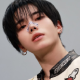 lee wonwoo
