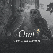 Owl