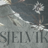 sjelvik