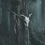woods