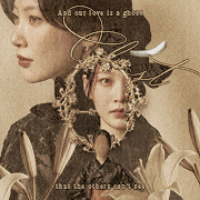 darin yoon