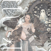 stacy orlova