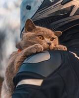 ��������_�_������