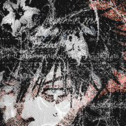 �������� ��� 13