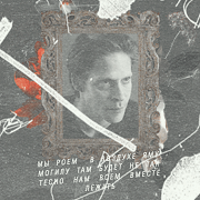 gavin reed