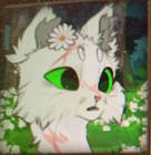 ���������-�������