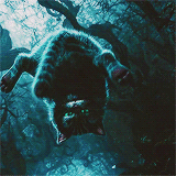 ���� ����