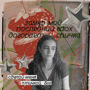 echo wayland