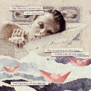 annie mccarter