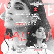 amal al-wazir