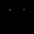 Black way
