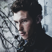Theseus Scamander