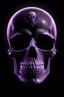 �DARK�ANGEL�