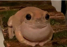 ׸���� ����