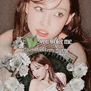 im nayeon